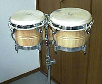 Pearl ボンゴ Pearl ボンゴ